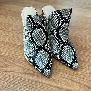 Aldo never been worn!!